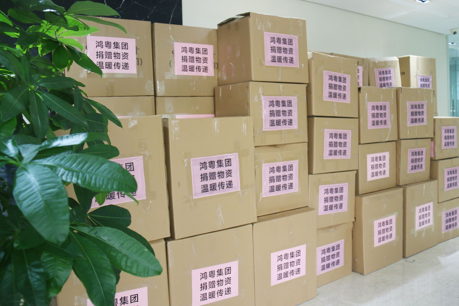 重庆承泽城市绿化发展有限公司公益回顾丨家国同欢月同圆 温暖满载甘孜州(图1) 重庆承泽城市绿化发展有限公司公益回顾丨家国同欢月同圆 温暖满载甘孜州(图1)